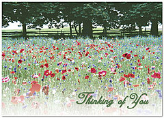 Select a verse or write your own. Thinking of You Floral Greeting Card 752D-Y